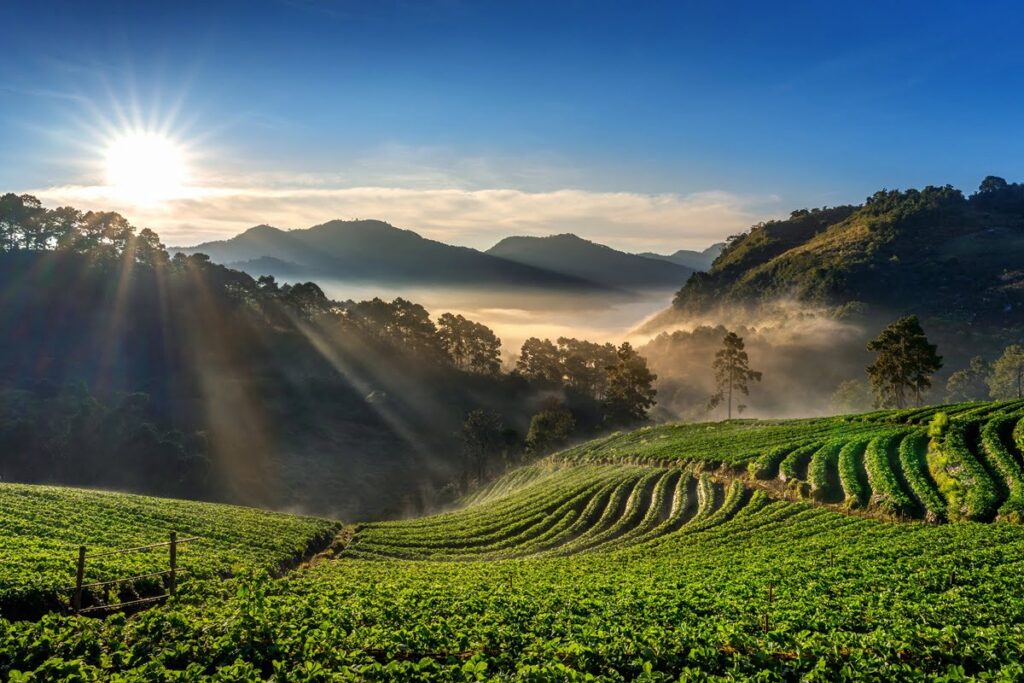 Top 10 Hill Stations in Tamil Nadu